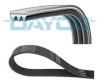 DAYCO 3PK648 V-Ribbed Belts